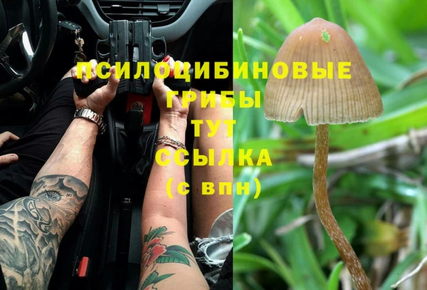 тгк Балахна