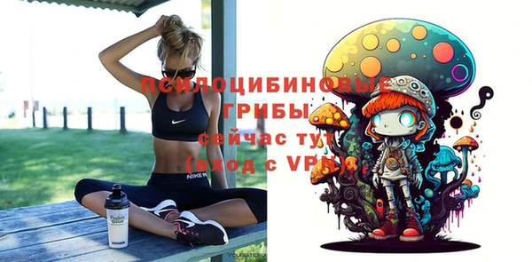 тгк Баксан