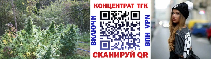 Купить  Гагарин  Дистиллят ТГК концентрат 